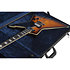 SGR-E-1 Hardcase Schecter