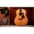 Gold Label 517e + Etui Taylor