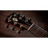 Gold Label 517e + Etui Taylor