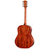 Gold Label 517e + Etui Taylor