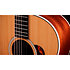 Gold Label 517e + Etui Taylor