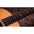 Gold Label 517e + Etui Taylor
