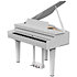 GP6 White Roland