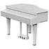 GP6 White Roland