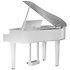 GP6 White Roland