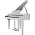 GP6 White Roland