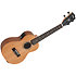 James Hill Signature Concert EQ All Solid Mahogany + Housse Kala