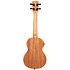 James Hill Signature Concert EQ All Solid Mahogany + Housse Kala