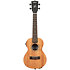 James Hill Signature Concert EQ All Solid Mahogany + Housse Kala