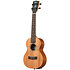 James Hill Signature Concert EQ All Solid Mahogany + Housse Kala