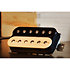 Pasadena Combo Pickup Set espacement Floyd Zebra Schecter