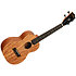 James Hill Signature Concert Solid Top Mahogany + Housse Kala