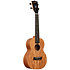 James Hill Signature Concert Solid Top Mahogany + Housse Kala