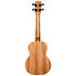 James Hill Signature Concert Solid Top Mahogany + Housse Kala