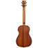 Satin Mahogany Bariton électro-acoustique Gaucher Kala