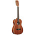 Gloss Mahogany Bariton 8 Cordes + Housse Kala