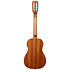 Gloss Mahogany Bariton 8 Cordes + Housse Kala