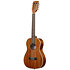 Gloss Mahogany Bariton 8 Cordes + Housse Kala