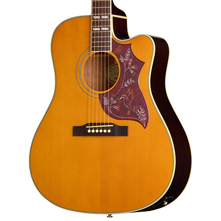 Hummingbird Studio EC Acoustic Collection Antique Natural + Housse Epiphone