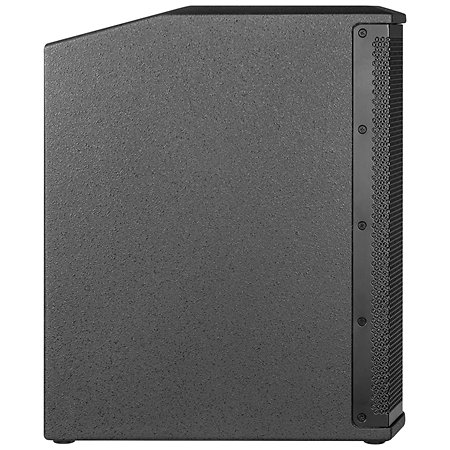 Polar 10 Mk2 Black (la paire) + Housses HK Audio