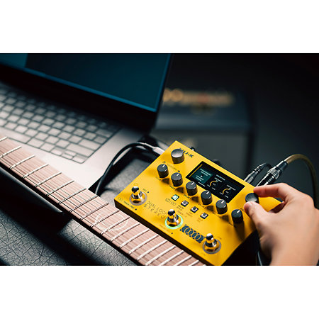 Dual Loop Stereo Pedal NUX