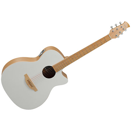 Ovation Applause E-Acoustic Guitar Jump Blank Canvas