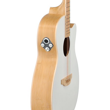 Ovation Applause E-Acoustic Guitar Jump Blank Canvas