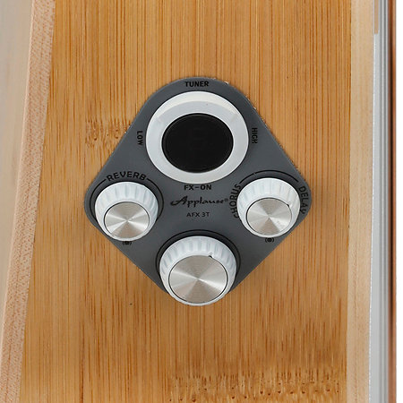 Applause E-Acoustic Guitar Jump Blank Canvas Ovation