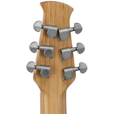 Applause E-Acoustic Guitar Jump Blank Canvas Ovation