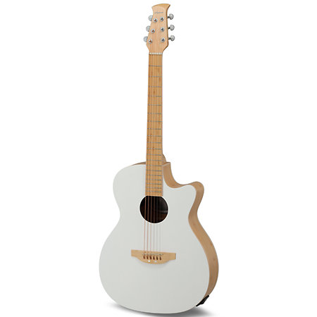Applause E-Acoustic Guitar Jump Blank Canvas Ovation