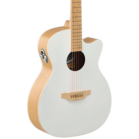 Applause E-Acoustic Guitar Jump Blank Canvas Ovation