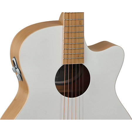 Applause E-Acoustic Guitar Jump Blank Canvas Ovation