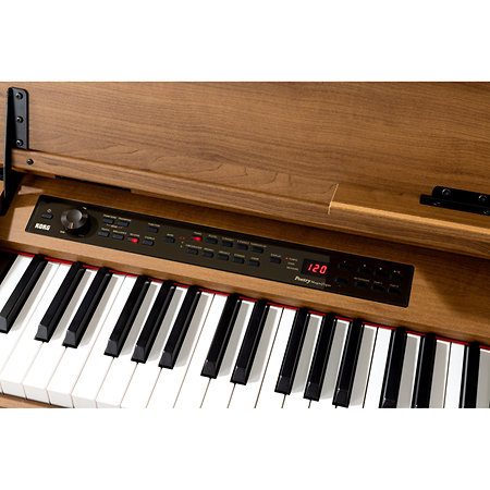 Poetry Magnifique Korg