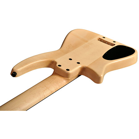 Radius Bass CR 5 Cordes Fretless Micro EMG + Piezo Naturel Satin NS Design
