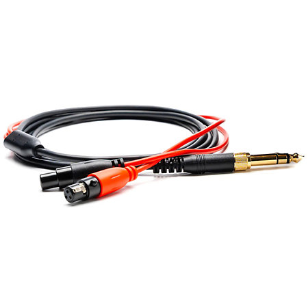 R1 OLLO AUDIO