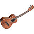 Solid Acacia Tenor + Étui Kala