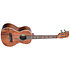 Solid Acacia Tenor + Étui Kala