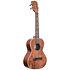 Solid Acacia Tenor + Étui Kala