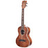 Solid Acacia Tenor + Étui Kala