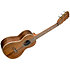 Solid Acacia Tenor 6 Cordes + Étui Kala