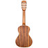Solid Acacia Tenor 6 Cordes + Étui Kala