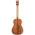 Solid Cedar Top Acacia Bariton + Housse Kala