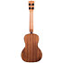 Solid Cedar Top Acacia Concert + Housse Kala