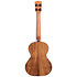 Solid Cedar Top Acacia Tenor + Housse Kala