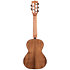Solid Cedar Top Acacia Tenor 5 Cordes Kala