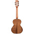 Solid Cedar Top Acacia Tenor 5 Cordes + Housse Kala