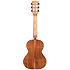 Solid Cedar Top Acacia Tenor 6 Cordes Kala