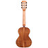 Solid Cedar Top Acacia Tenor 6 Cordes + Housse Kala