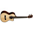 Solid Spruce Top Striped Ebony Tenor Cutaway EQ Kala