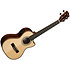 Solid Spruce Top Striped Ebony Tenor Cutaway EQ + Housse Kala
